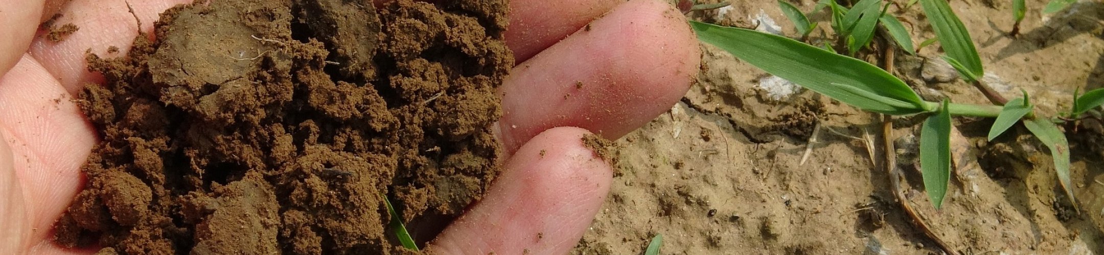 PrepSoil is looking for Soil Ambassadors!